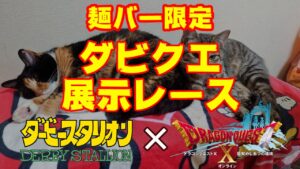 【麺バー限定】第74回ダビクエNEO展示レース