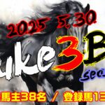 【ダビスタSwitch】suke3BC season5  5月4週目 クラス振り分け確定!