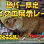 【麺バー限定】第92回 ダビクエNEO 展示レース結果