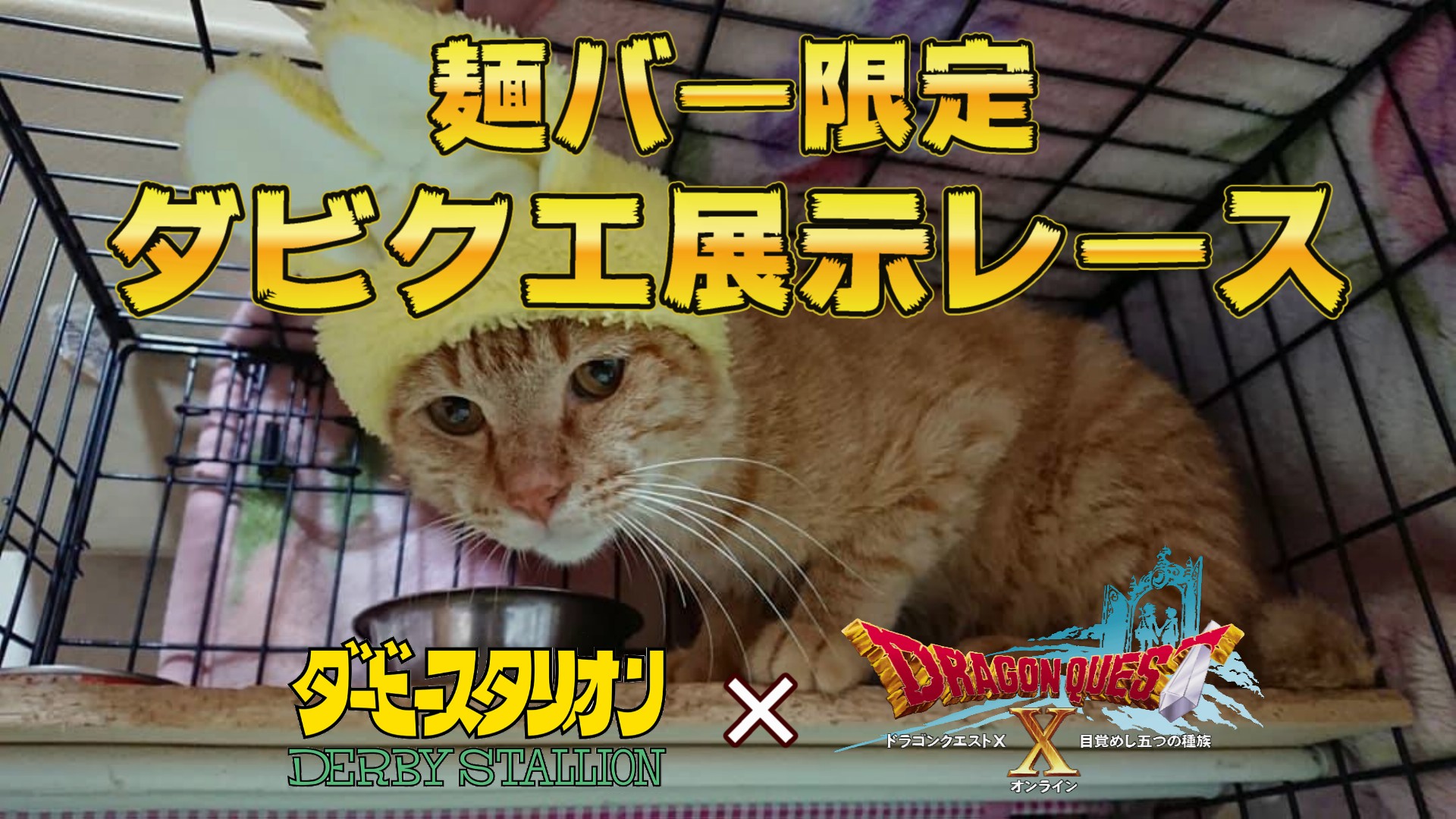 【麺バー限定】第92回 ダビクエNEO 展示レース結果