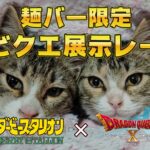 【麺バー限定】第94回 ダビクエNEO 展示レース結果