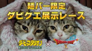 【麺バー限定】第103回ダビクエ展示レース