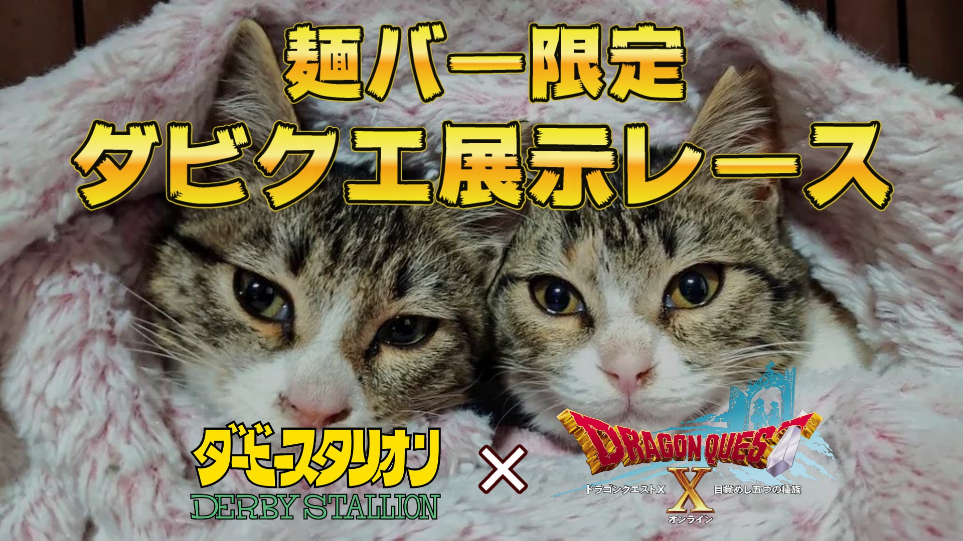 【麺バー限定】第103回ダビクエ展示レース